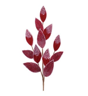 Leaf Spray