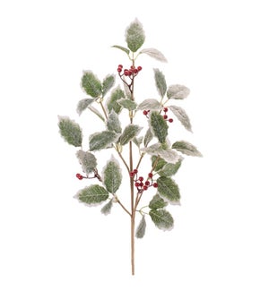 Holly Spray