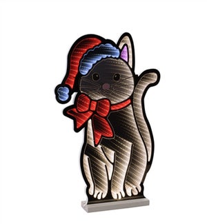 Cat with Santa Hat Ekkolight