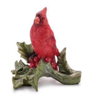 Cardinal on Holly