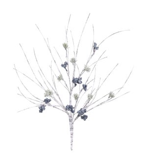 Birch and Pine Branch