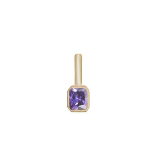 Heritage Birthstone Charm February - Gold