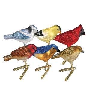 Miniature Songbirds Assorted