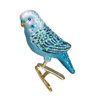 Blue Miniature Parakeet