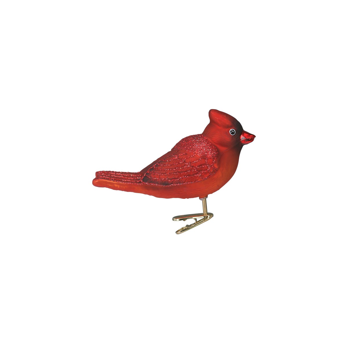 Bright Red Cardinal
