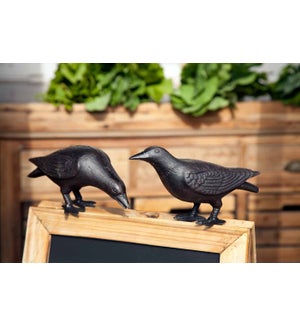 Cast Iron Crows, Set of 2, Assorted Styles