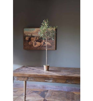 Olive Tabletop Potted Topiary