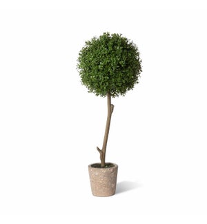 Thyme Ball Topiary in Cement Pot, Large