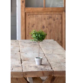Boxwood Topiary, Miniature