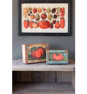 Tomato Seed Pack Storage Boxes Set of 2
