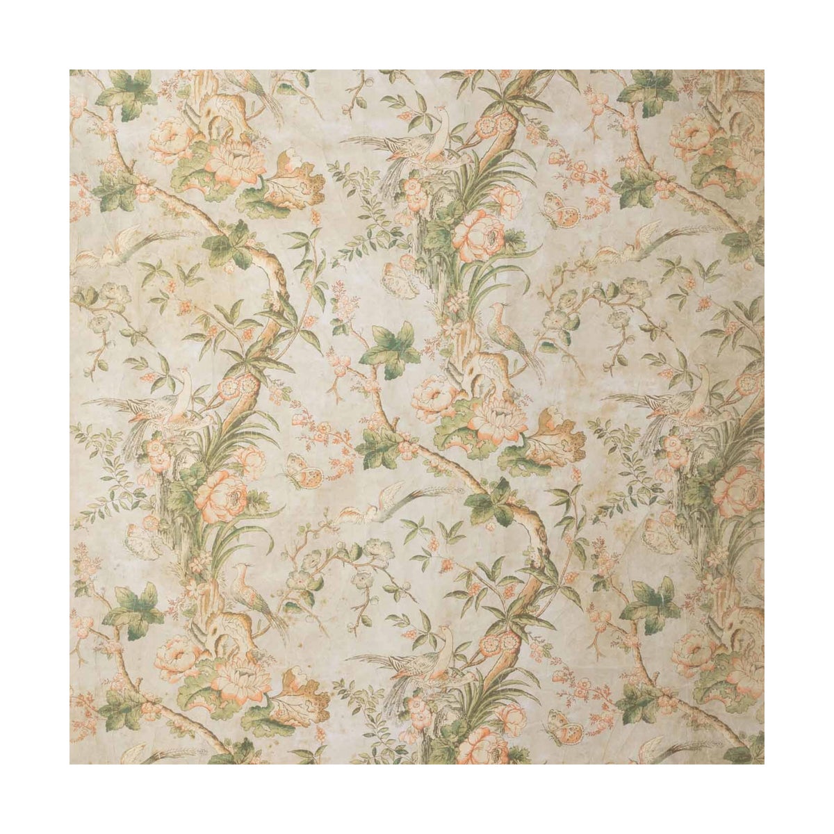 Blossom Vine Pattern Wallpaper