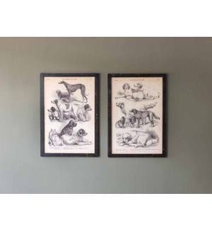 Canine Species Sepia Prints, 2 Assorted Styles
