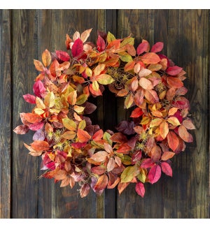 Autumn Virginia Creeper Wreath