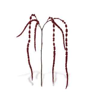 Hanging Amaranthus, Burgundy