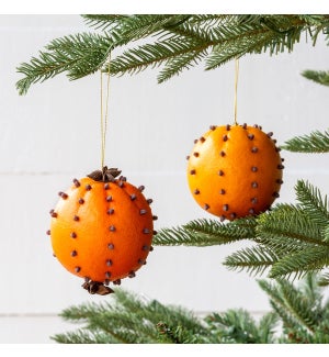 Cloved Orange Ornaments