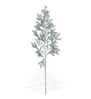 Icy Juniper Branch