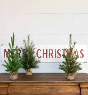 First-Year Faux Seedling Trees, Set of 3, Assorted Styles