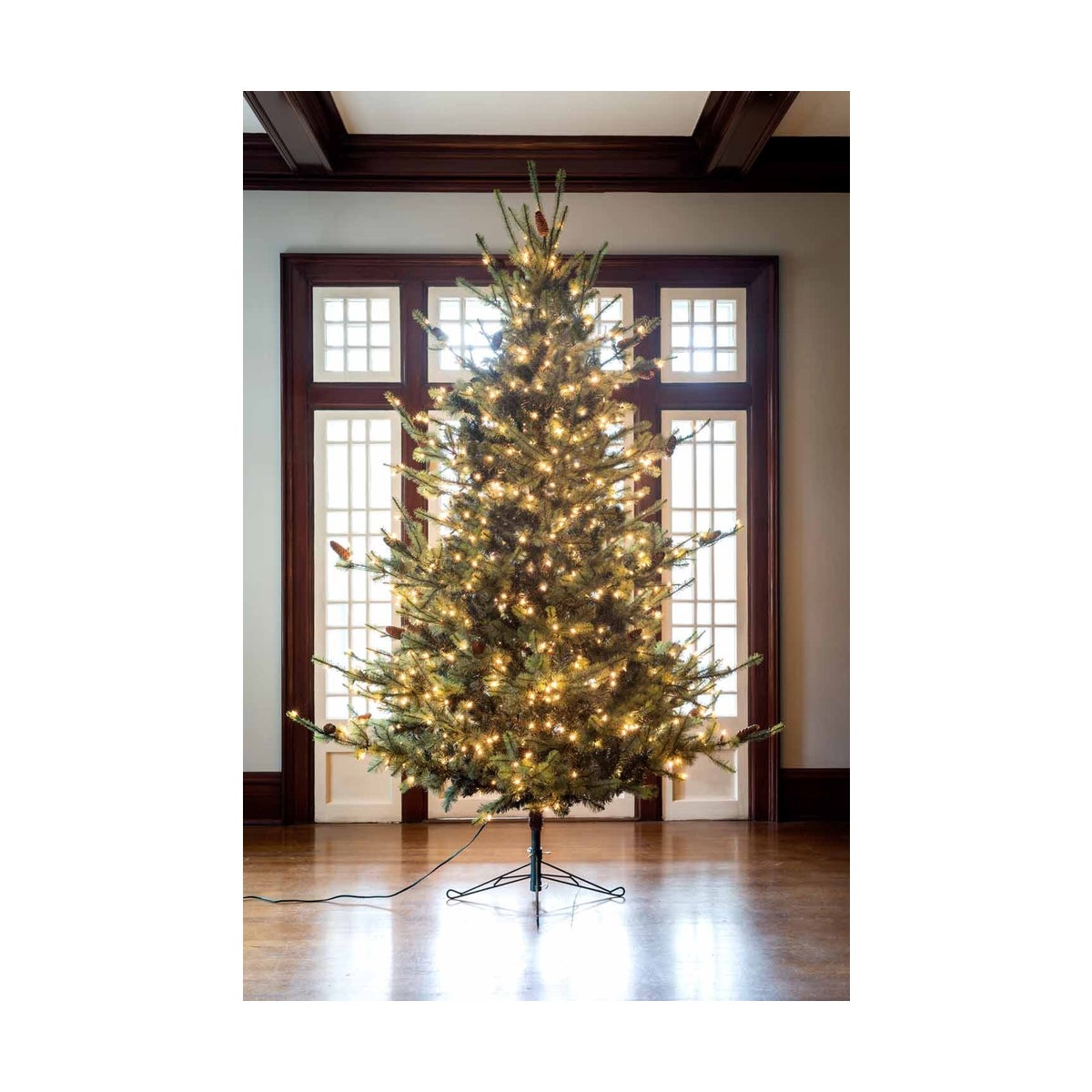 Park Hill Blue Spruce Christmas Tree, 9'