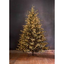Park Hill Blue Spruce Christmas Tree, 12'