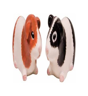 Guinea Pig Salt and Pepper Set