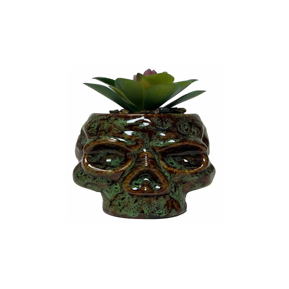 Skull Planter and Storage
