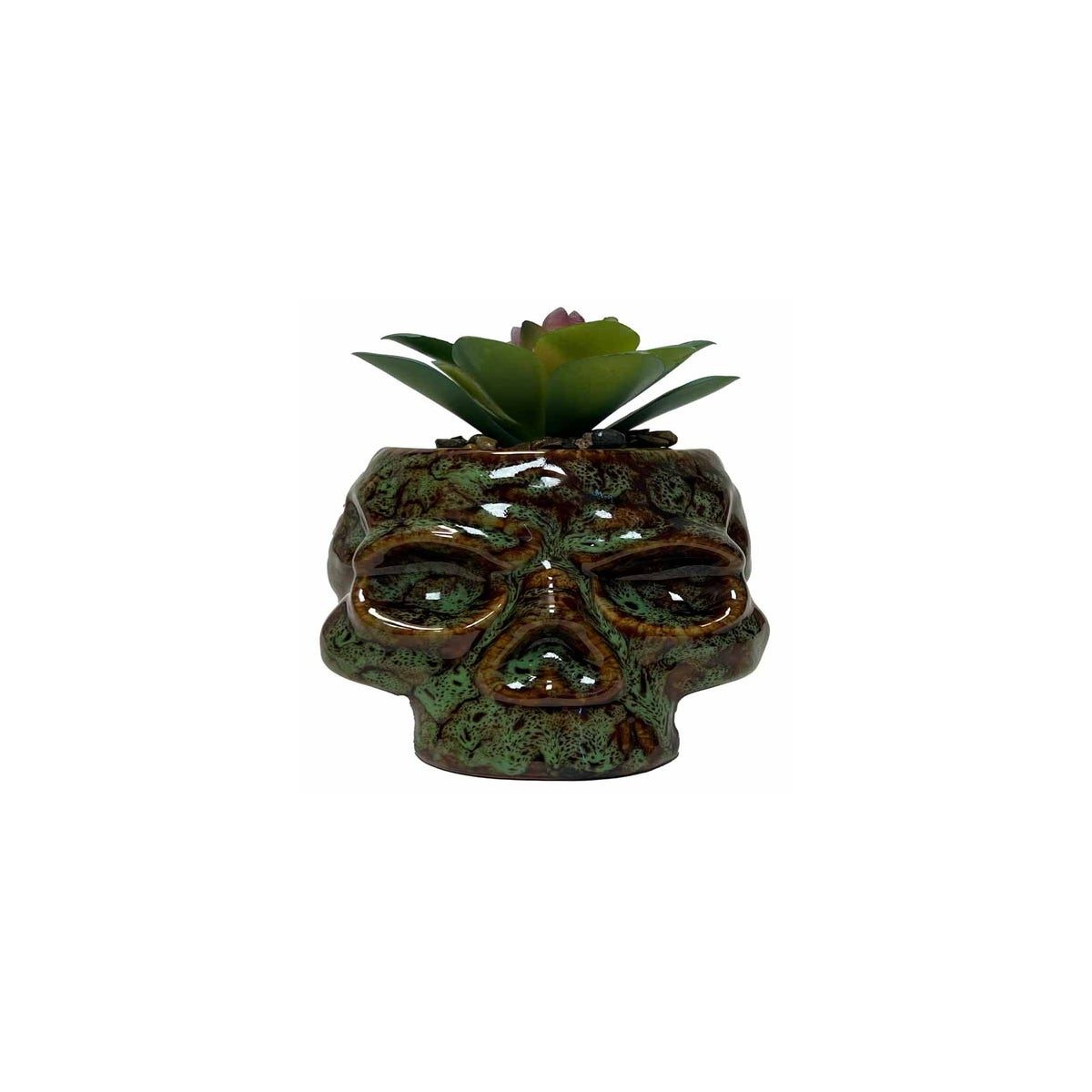 Skull Planter and Storage