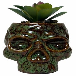 Skull Planter and Storage