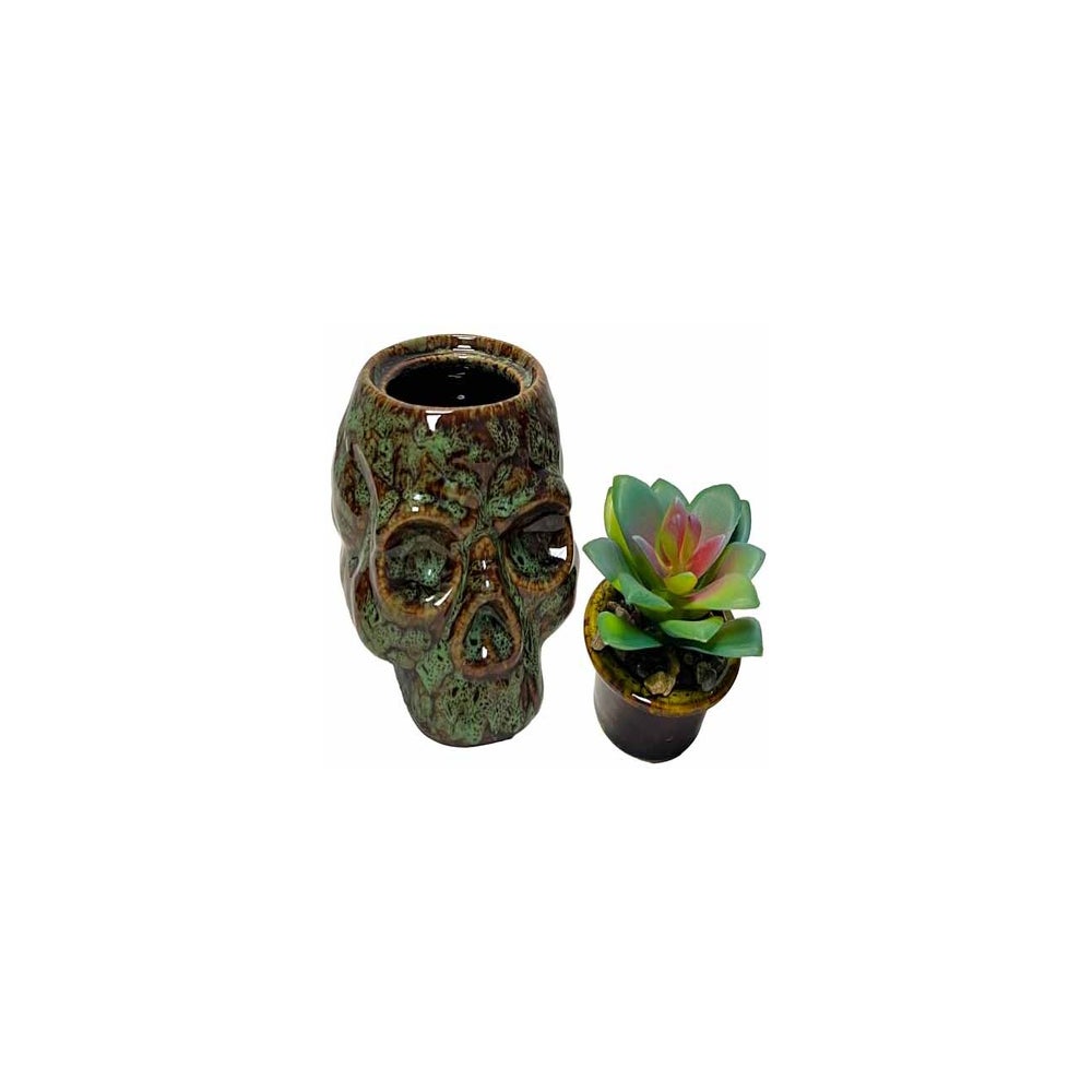 Skull Planter and Storage