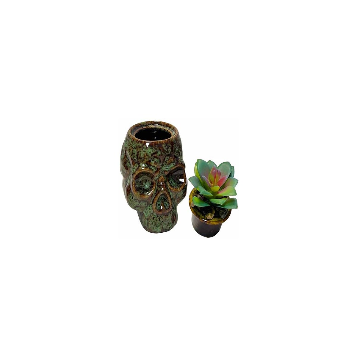 Skull Planter and Storage