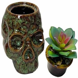 Skull Planter and Storage