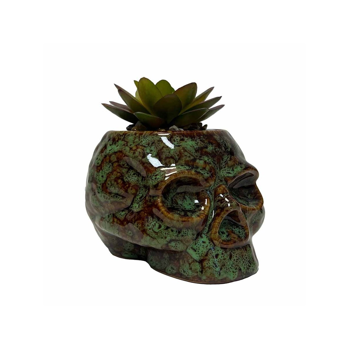 Skull Planter and Storage