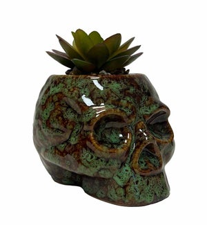 Skull Planter and Storage