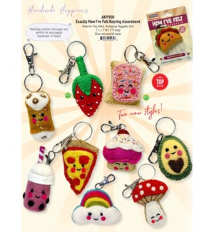 Exactly How I Felt Keyring Assortment - Asst 10 Styles