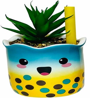 My Best Teas Faux Succulent Planter - Blue