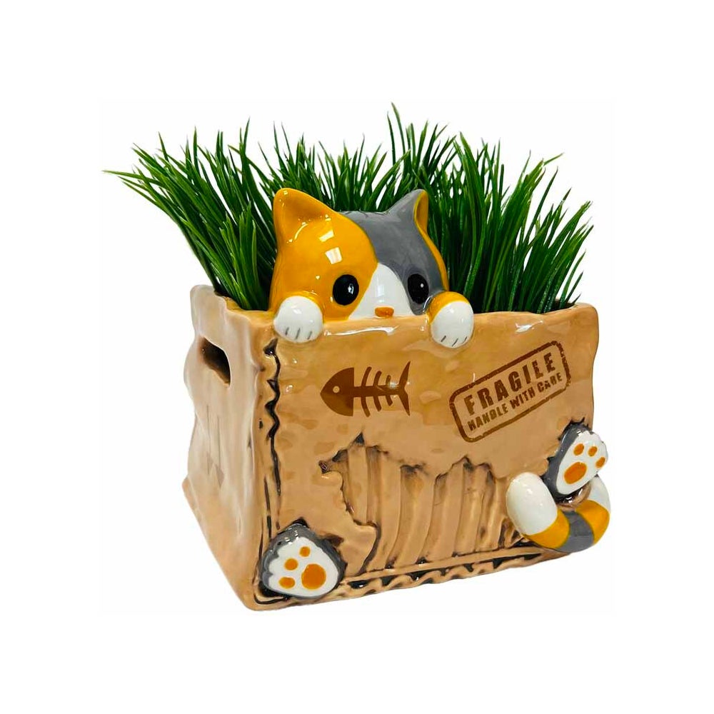 Cat In The Box Planter