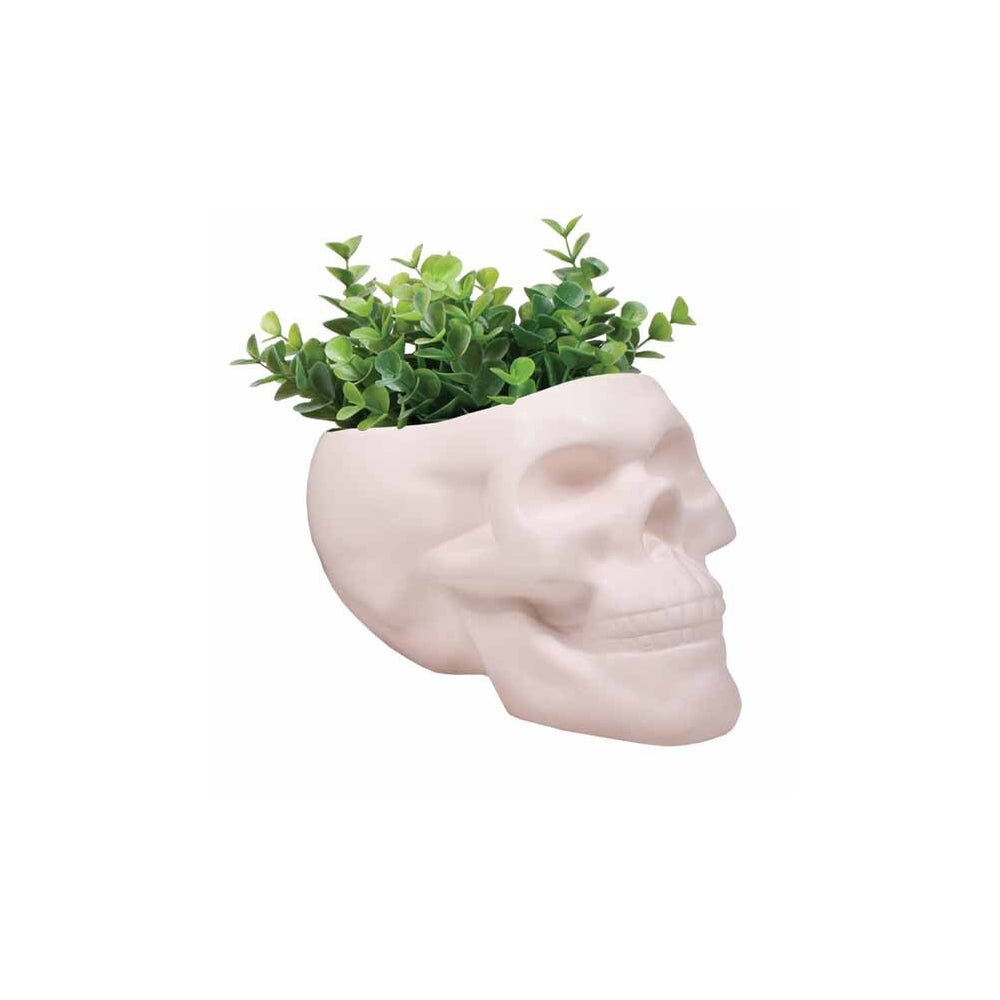 Bone Skull Planter