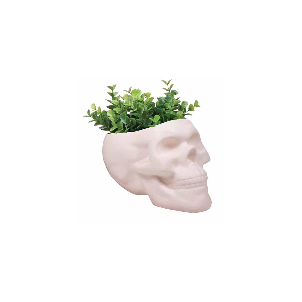 Bone Skull Planter