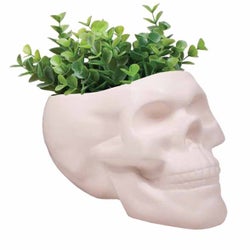 Bone Skull Planter