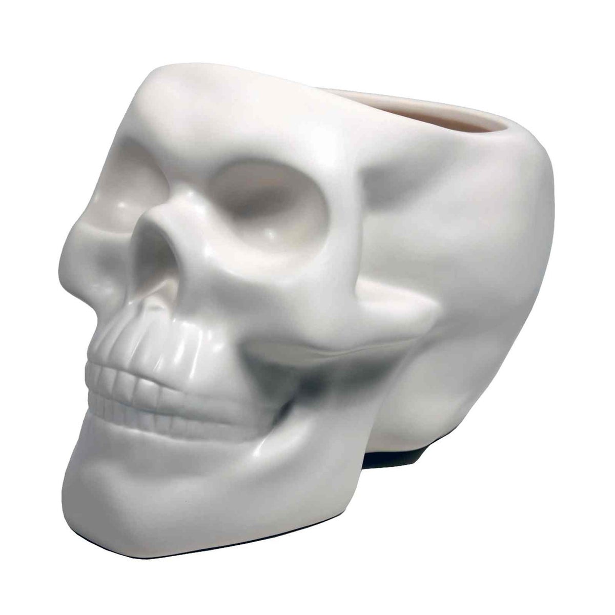 Bone Skull Planter