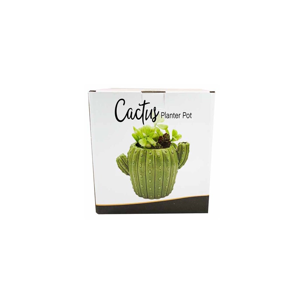 Cactus Planter