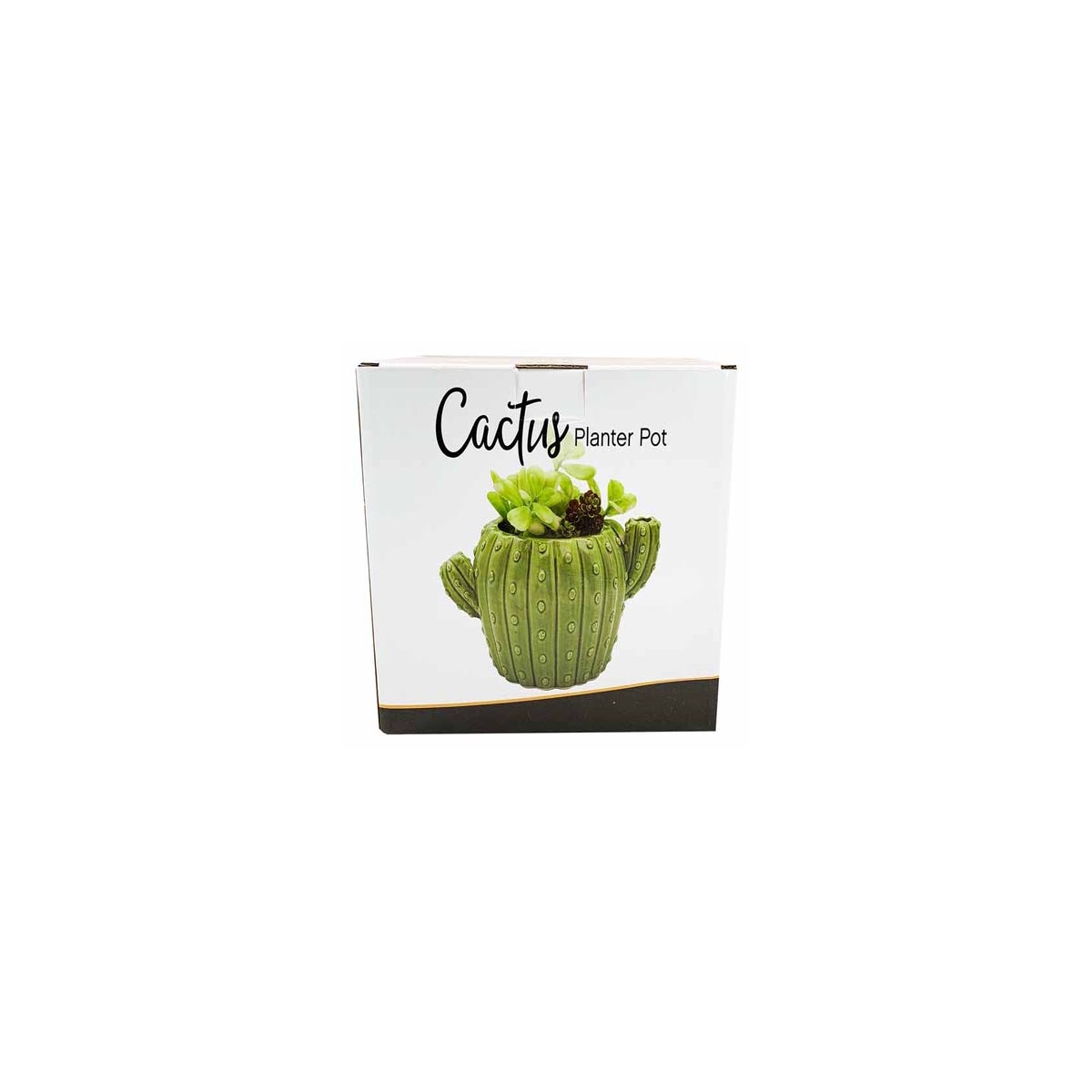 Cactus Planter