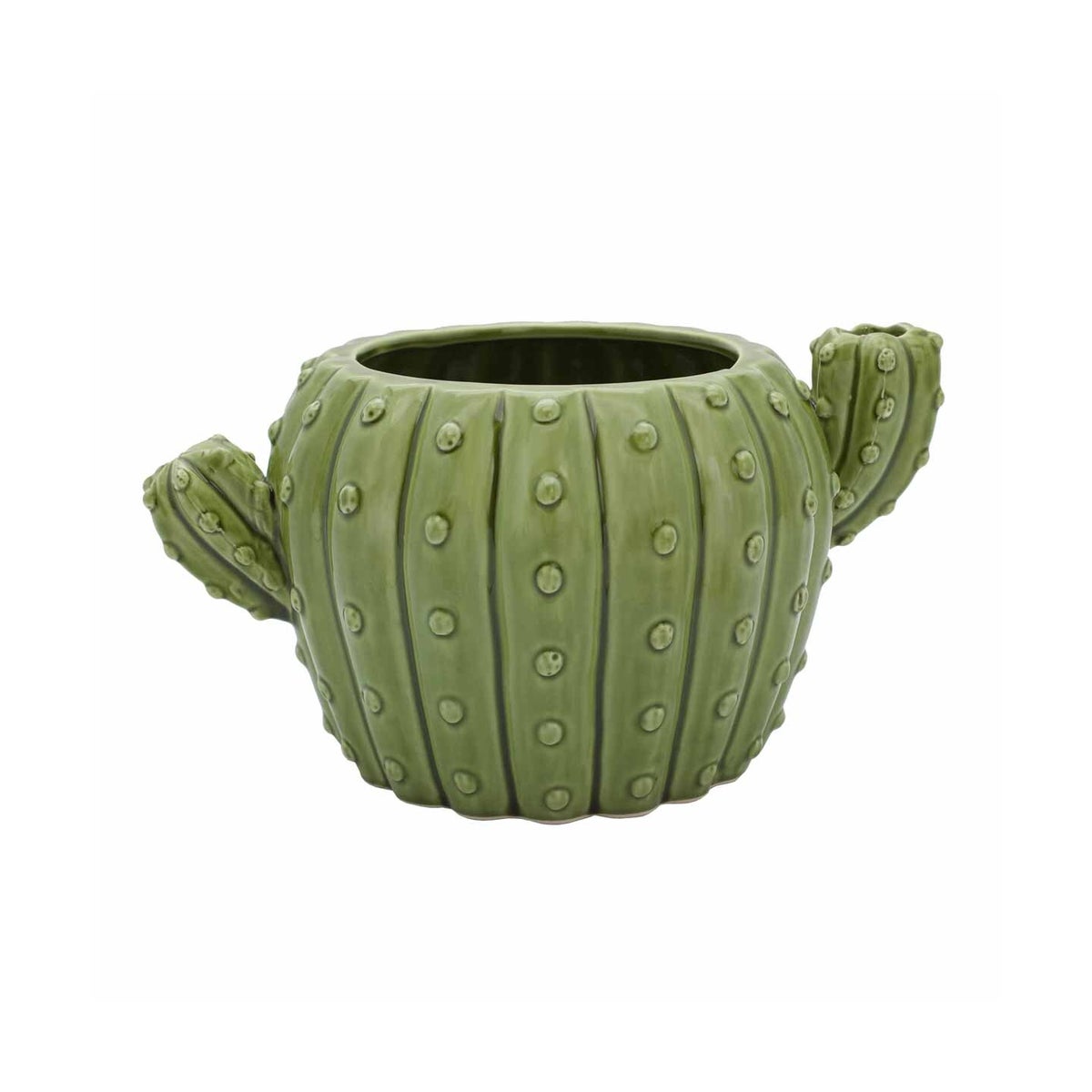Cactus Planter