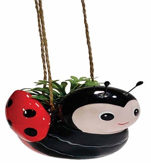 Mini Bee and Ladybug Hanging Planter