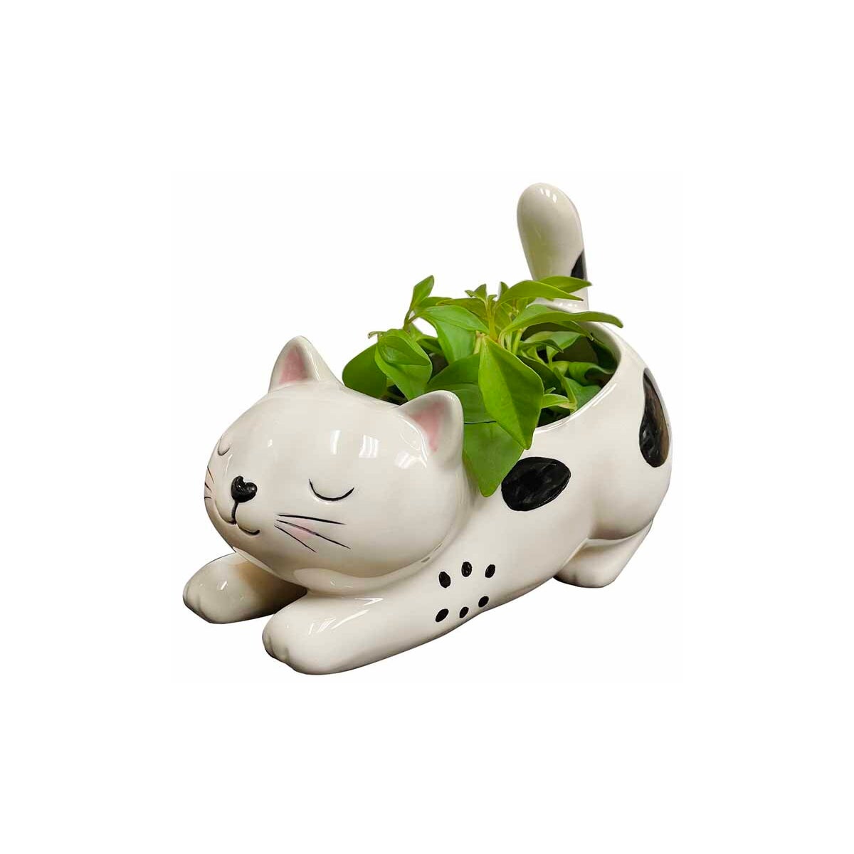 Raise Your Bum Kitty Planter