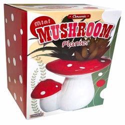 Mini Mushroom Planter with Faux Succulent