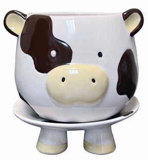 Footsie Planter - Brown Cow