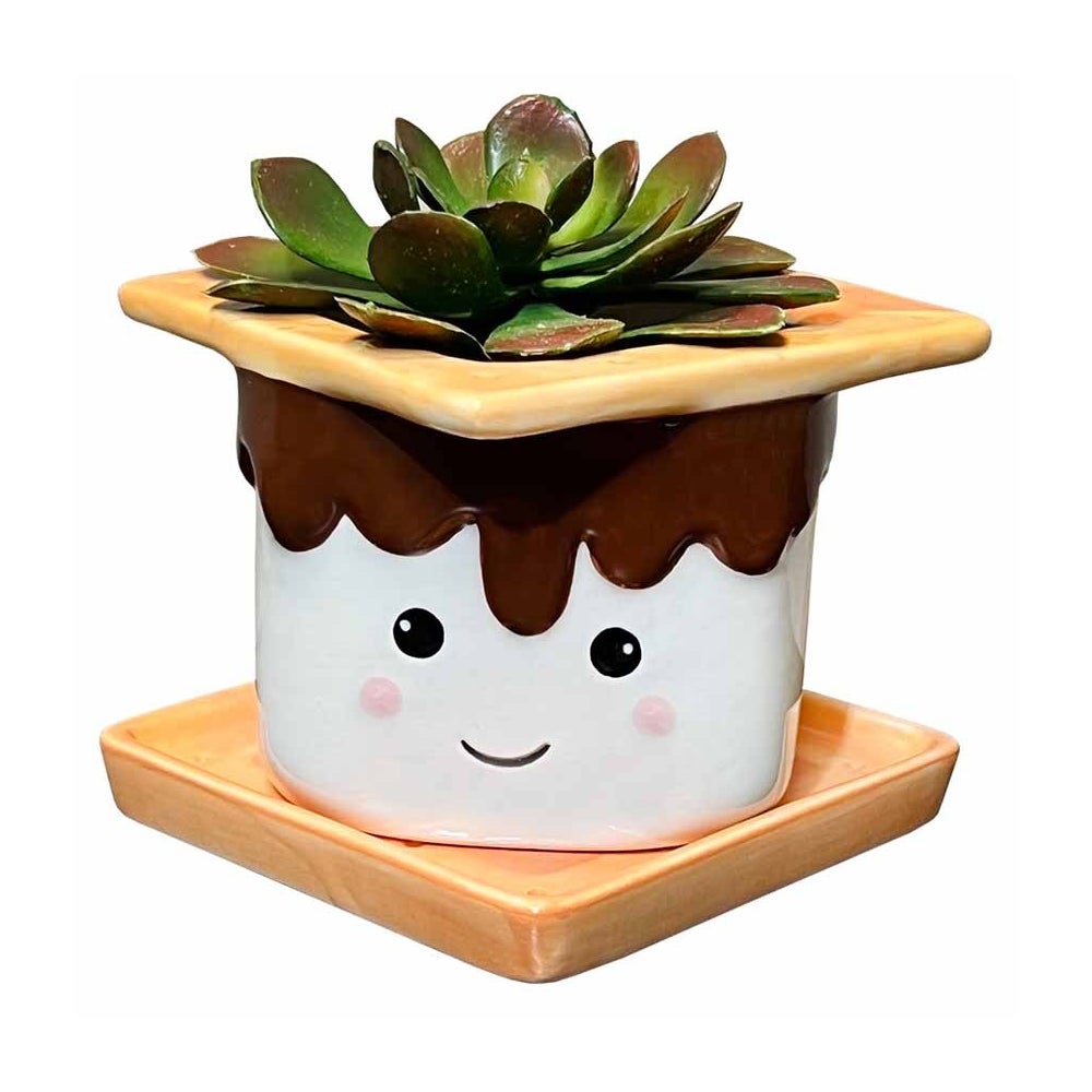 SMores Planter with Water Dish