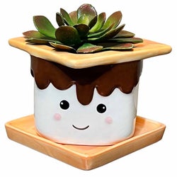 SMores Planter with Water Dish