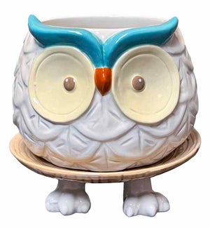 Footsie Planter - Hoots The Owl