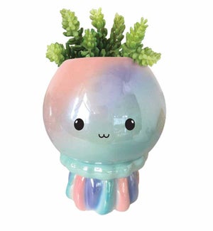 Jellyfish Footsie Planter